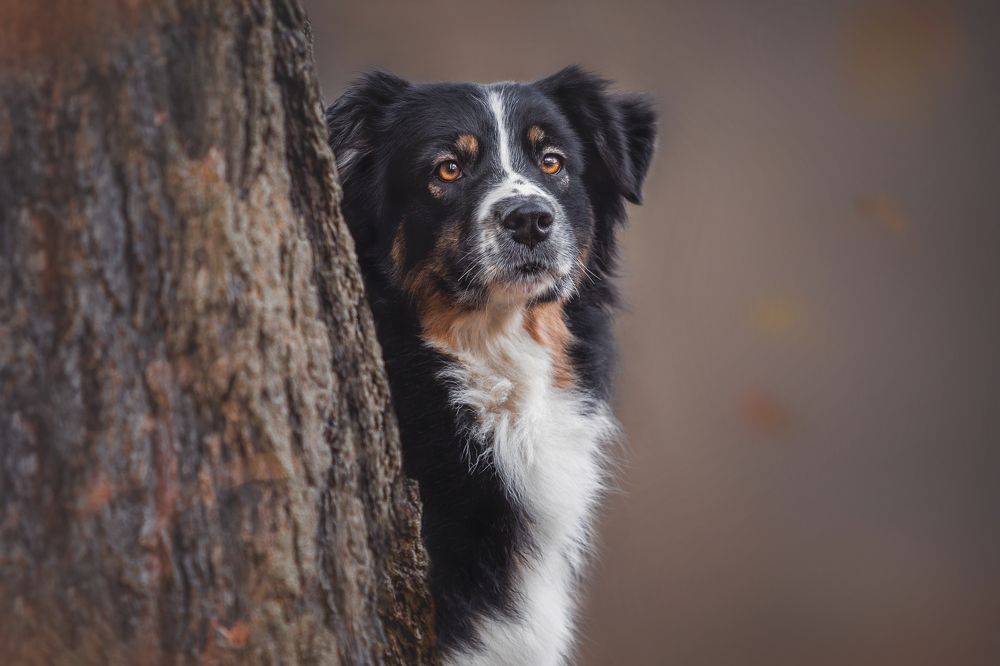 Photograph by Яна Нарбутович