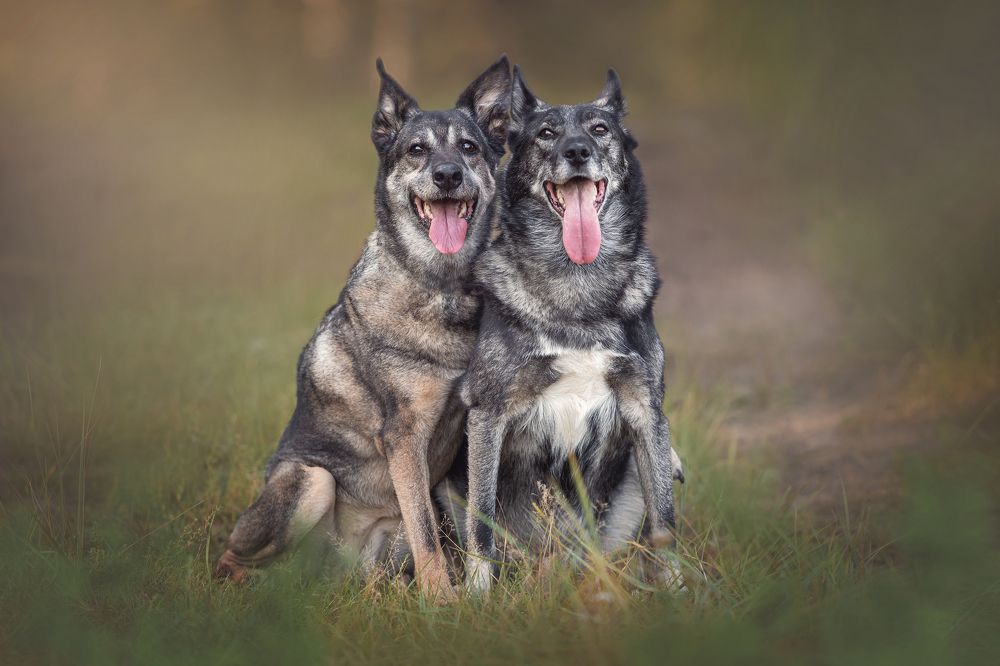 Photograph by Яна Нарбутович