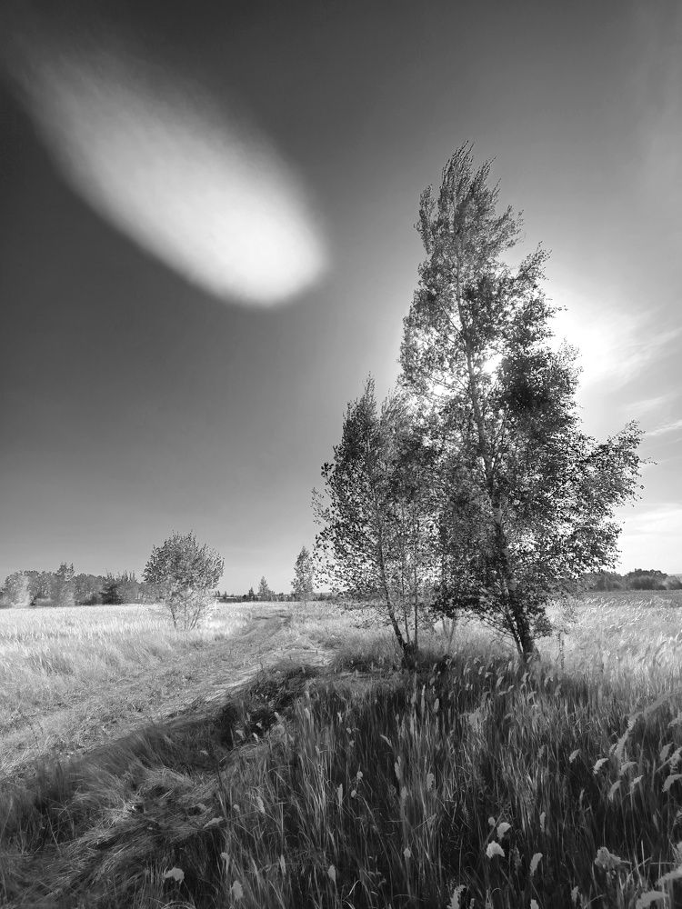 Photograph by Кондрашова Светлана