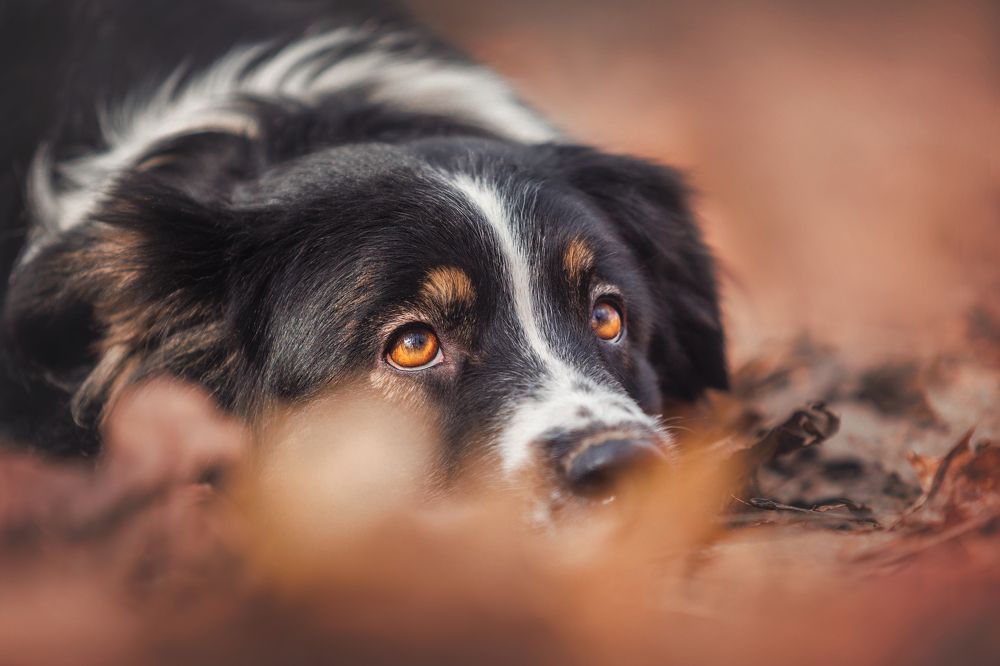 Photograph by Яна Нарбутович