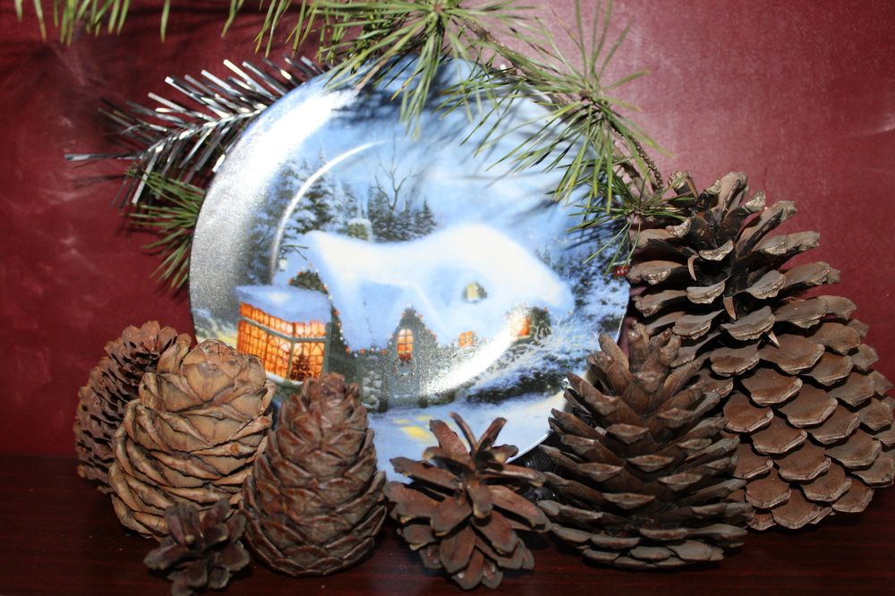 Photograph by Елена Коробченко