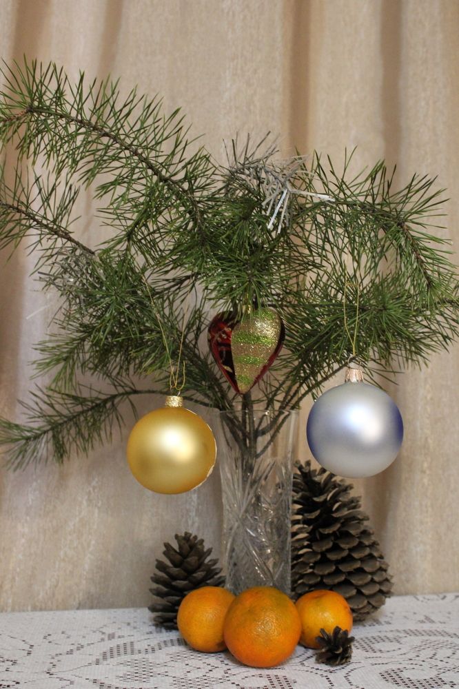 Photograph by Елена Коробченко