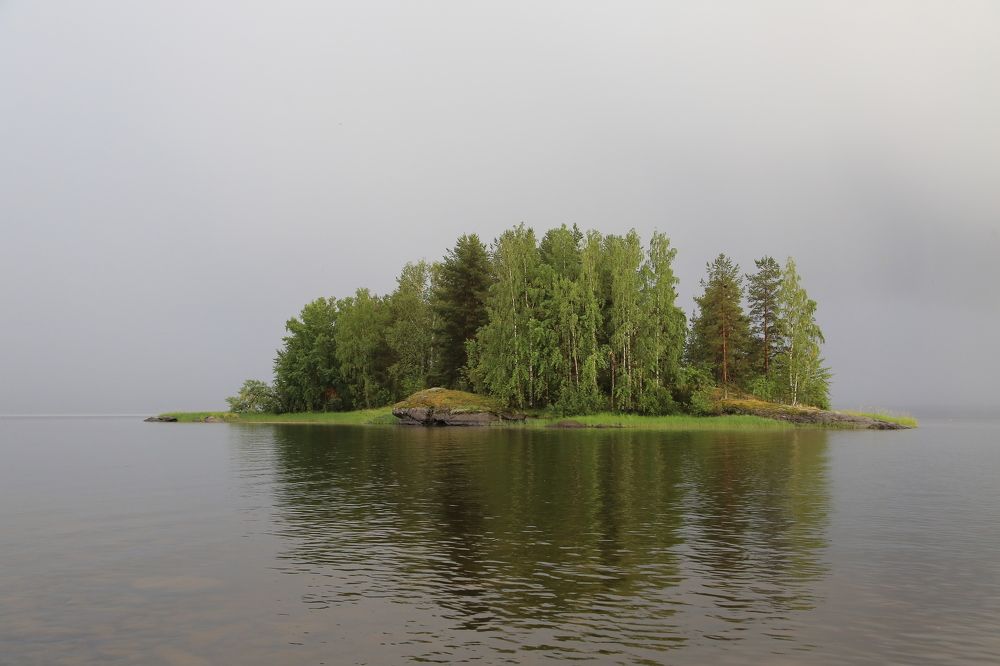 Photograph by Дмитрий Петухов