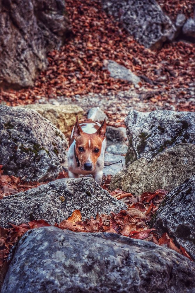 Photograph by Анатолий Вивдич