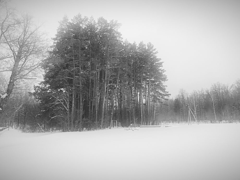 Photograph by Альберт Габбасов