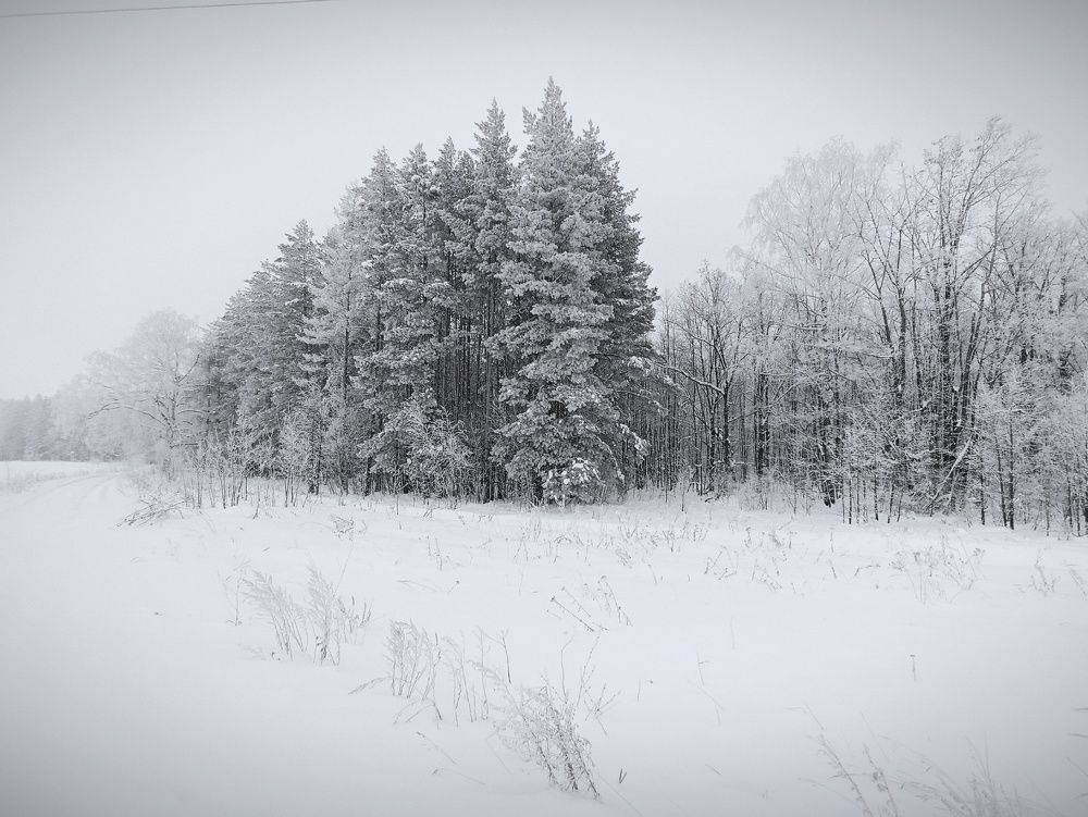 Photograph by Альберт Габбасов