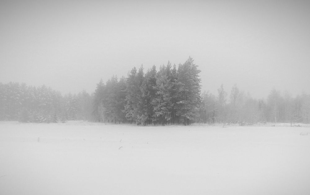 Photograph by Альберт Габбасов