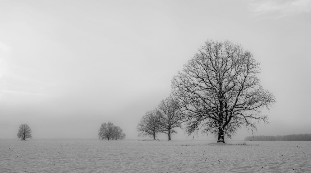Фотография автора Александр Буренко