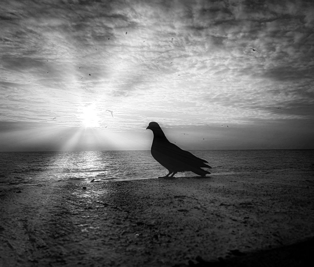 Photograph by Елена Кузнецова