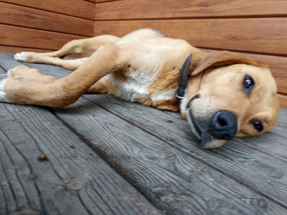 Photograph by Альберт Габбасов