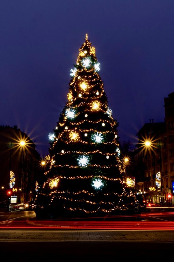 Фотография автора Emi D