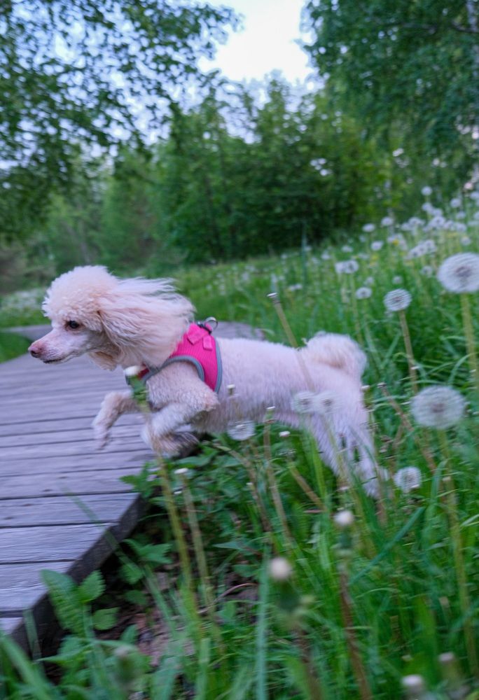 Photograph by Альберт Габбасов