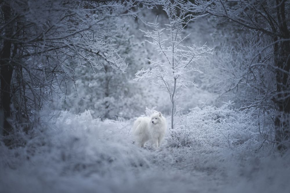 Фотография автора Rut Casanellas