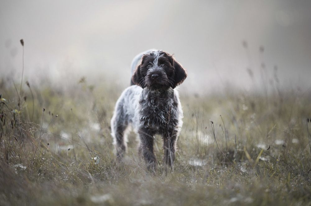 Photograph by Lie Van Opstal