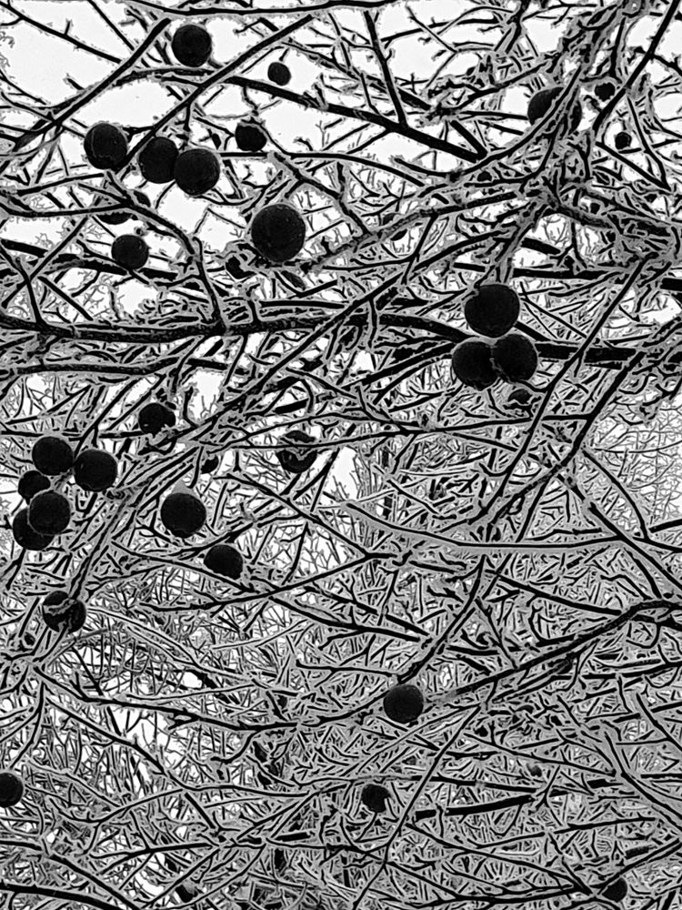 Photograph by Александра Борисовна