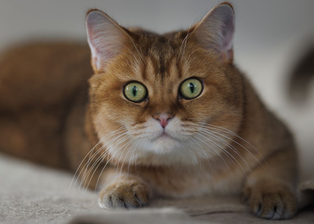 Photograph by Louisa85