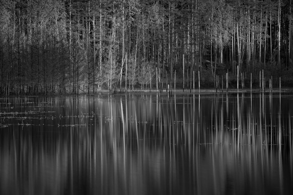 Photograph by Roman Fabrichny