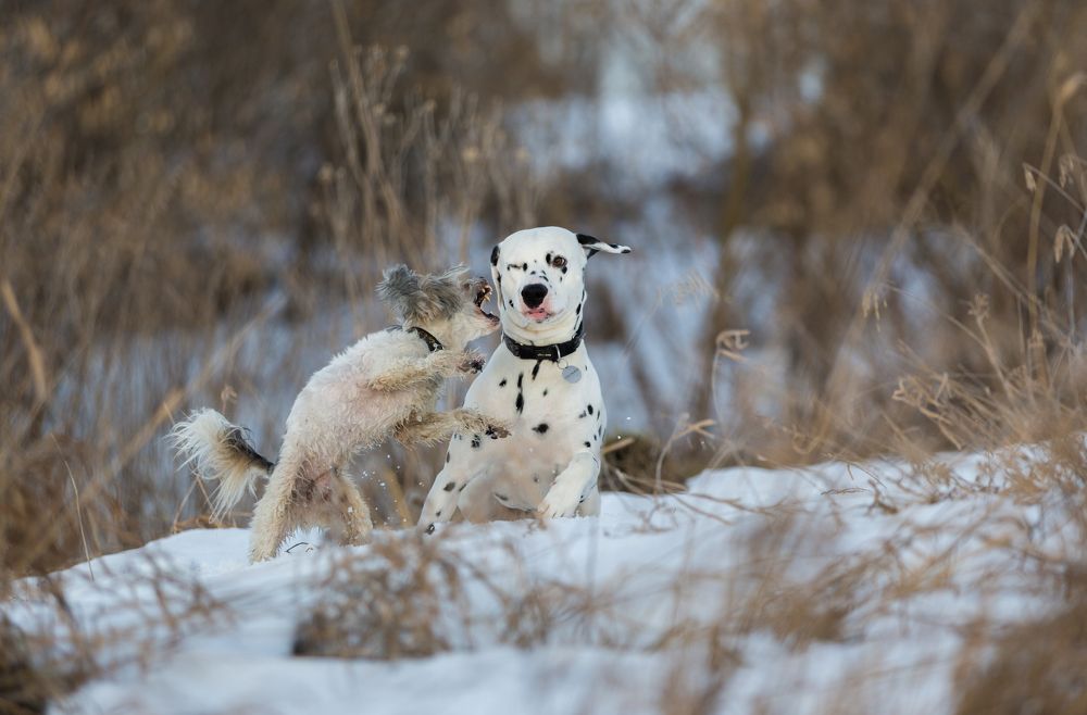 Photograph by Евгения Осипова