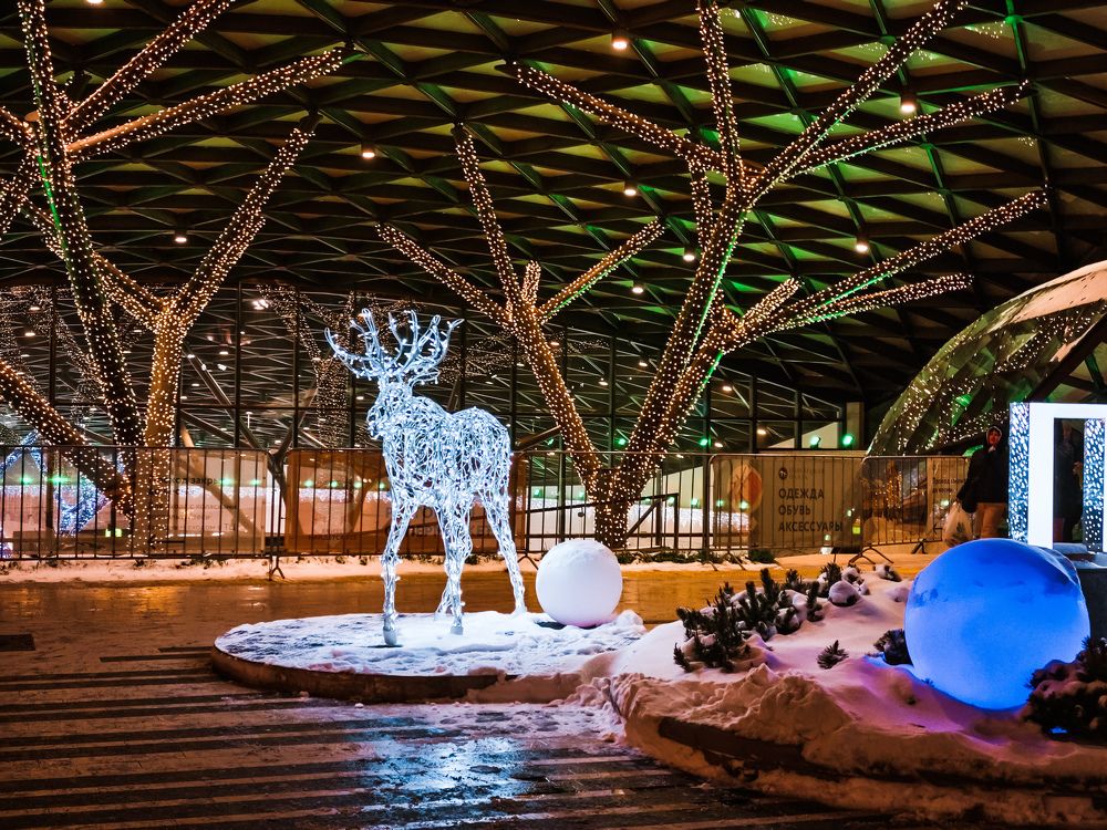 Photograph by Vinchenzo D5