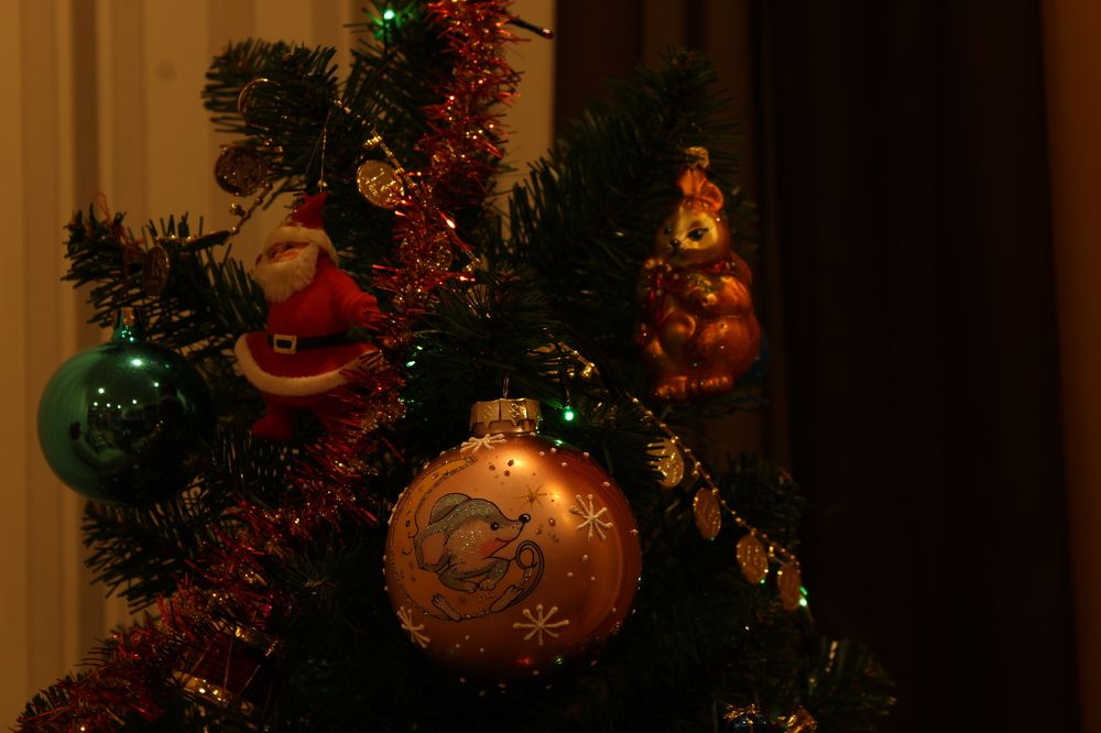 Photograph by Наталия