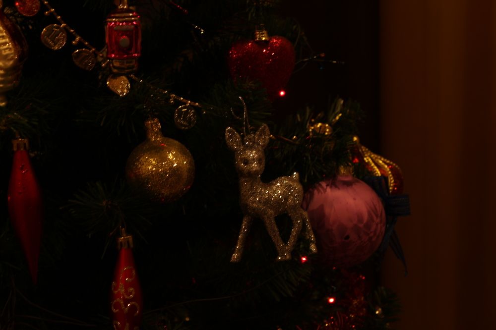 Photograph by Наталия