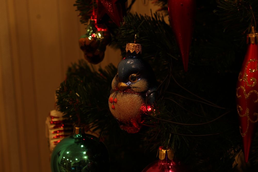 Photograph by Наталия