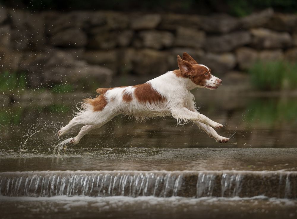 Photograph by Jessica Carlson