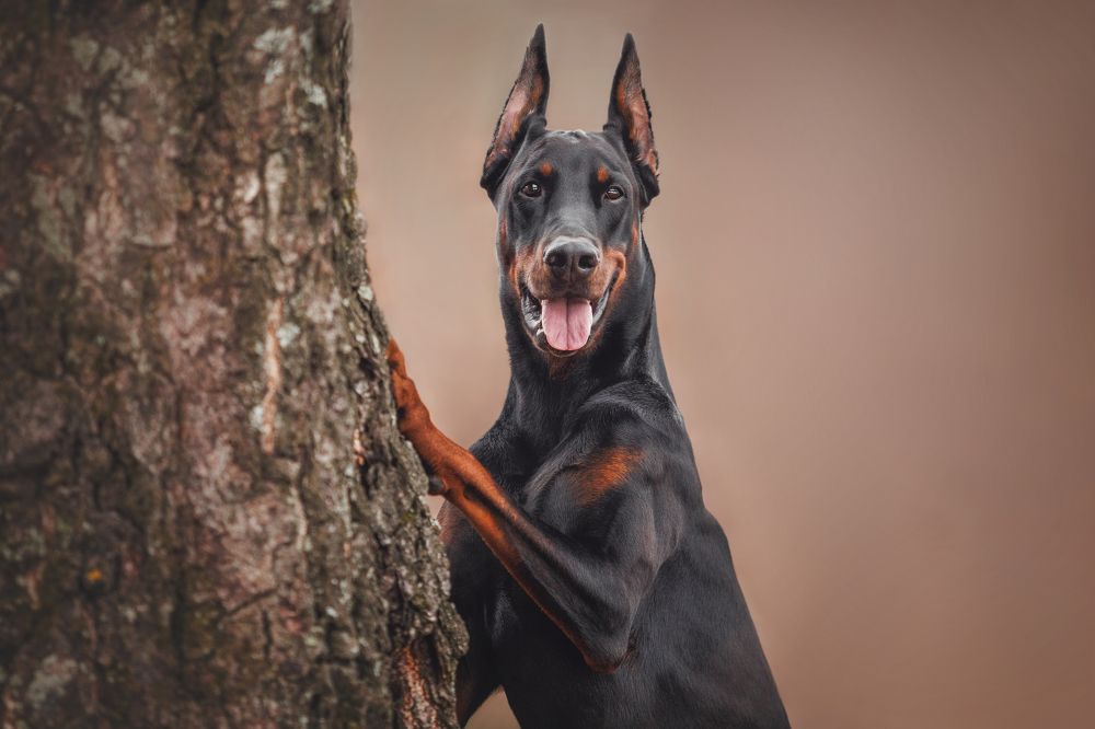 Photograph by Яна Нарбутович