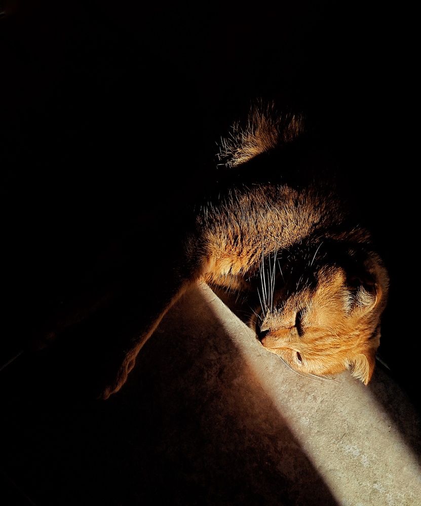 Фотография автора Евгения Владимировна