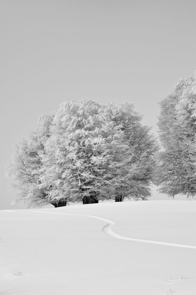 Photograph by ILIAS DIMITRIOU