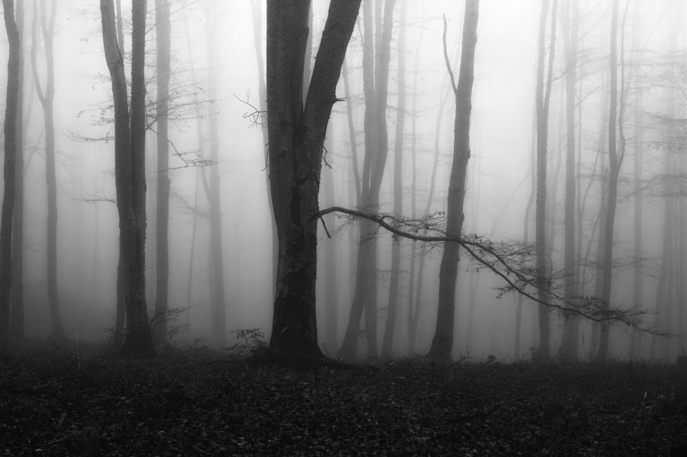 Photograph by ILIAS DIMITRIOU