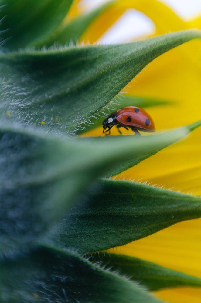 Photograph by Ляйсан Мубаракова