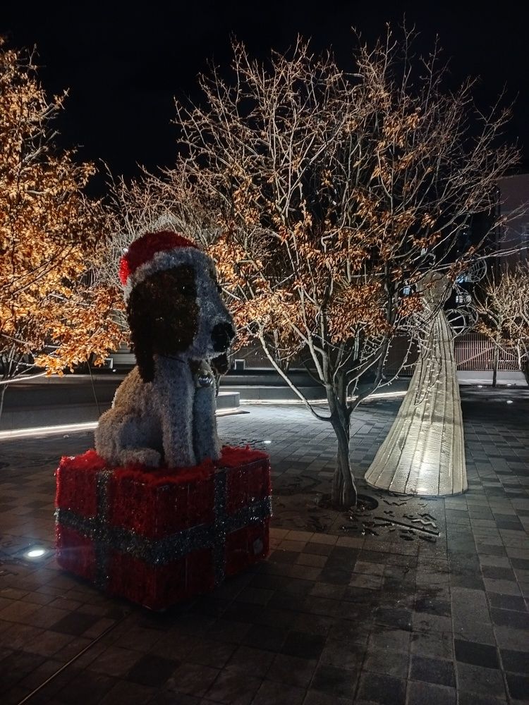 Photograph by Анна Лагун