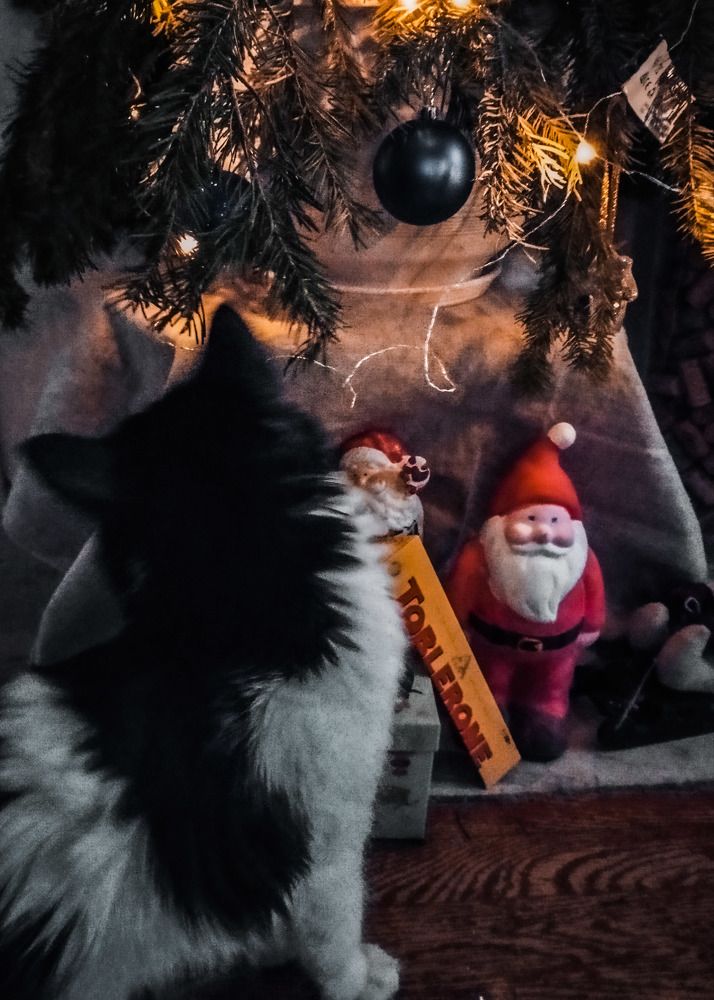 Photograph by Елена Гусева