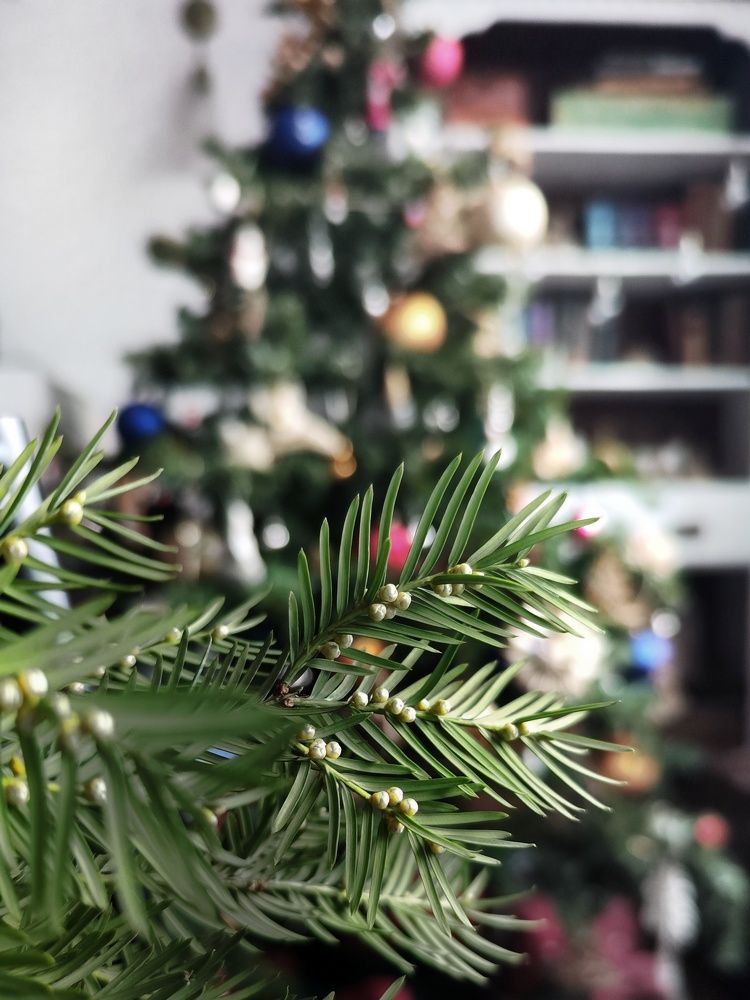 Photograph by Natalia Sopoćko