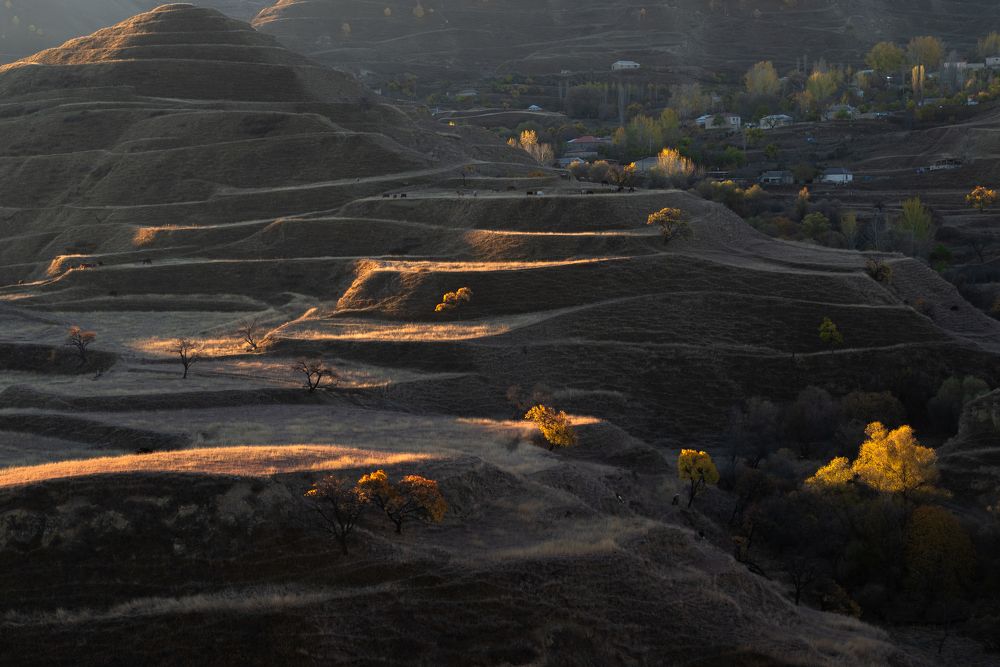 Фотография автора Марина Лукьянова