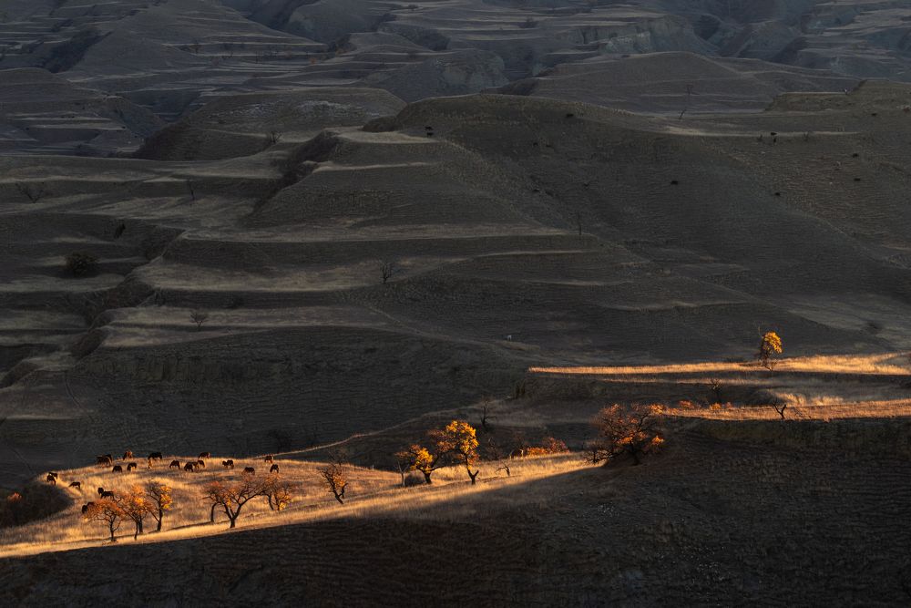 Фотография автора Марина Лукьянова