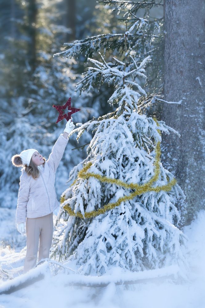 Photograph by Natalie K.