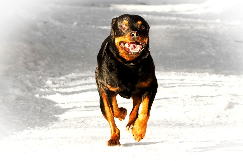 Photograph by оксана