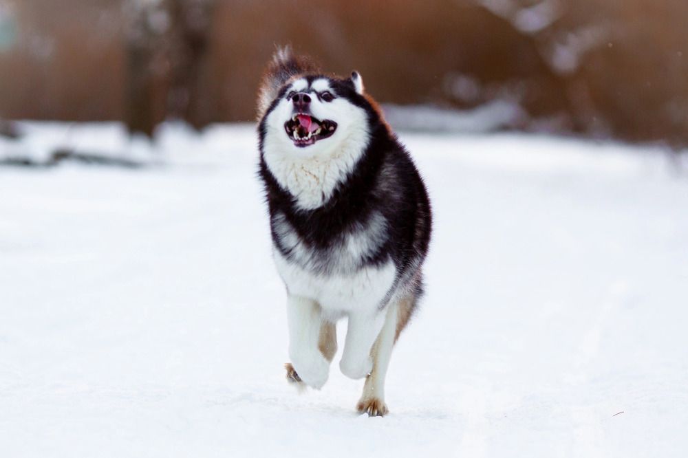 Photograph by оксана