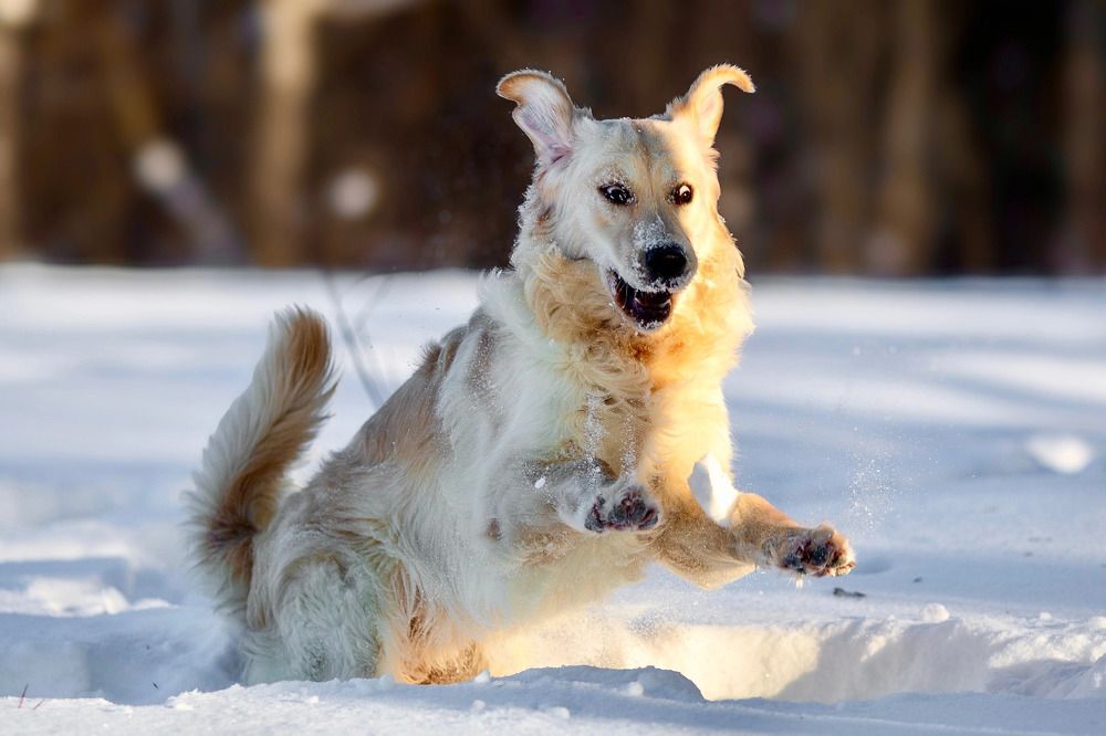 Photograph by оксана