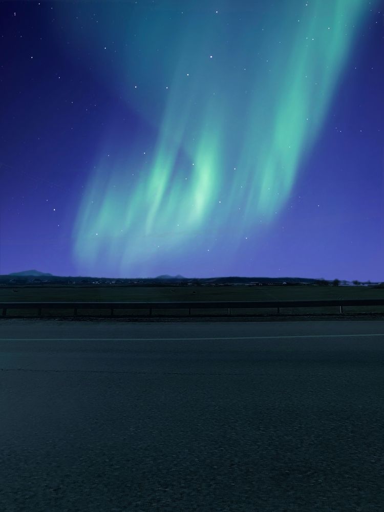Photo #11576711