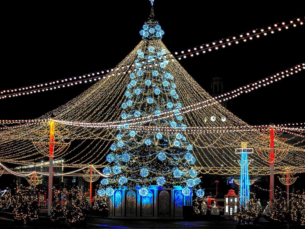 Фотография автора Елена Чиликина