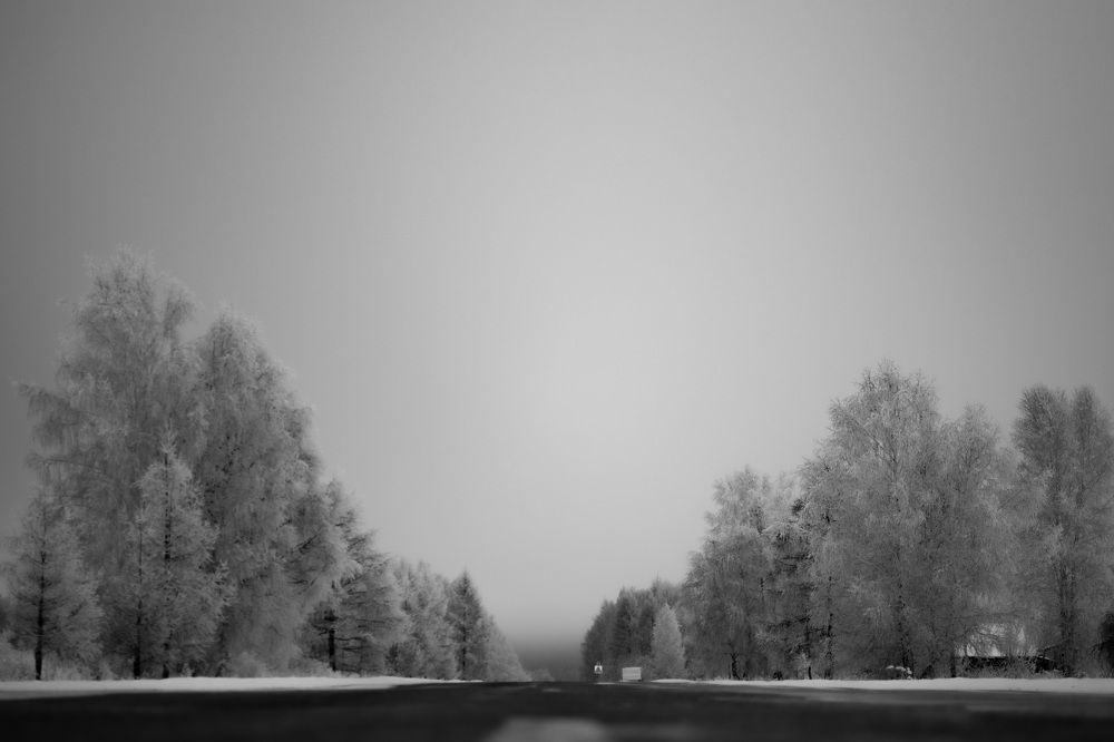 Фотография автора Козельский Сергей