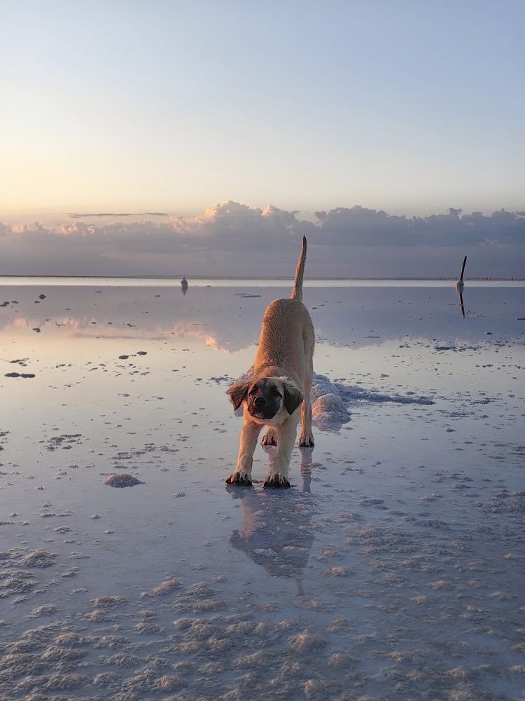 Photograph by Maiya Bulatova