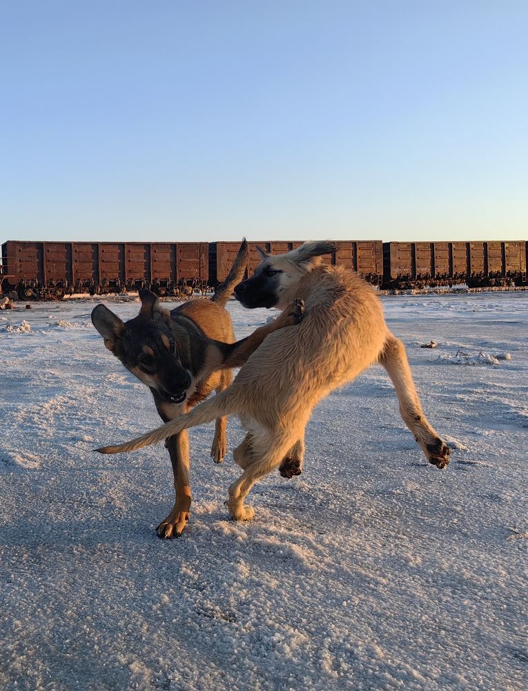 Photograph by Maiya Bulatova