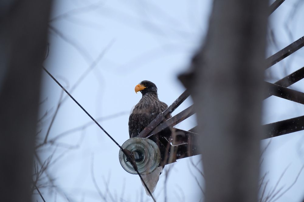 Photograph by Яна Бойко