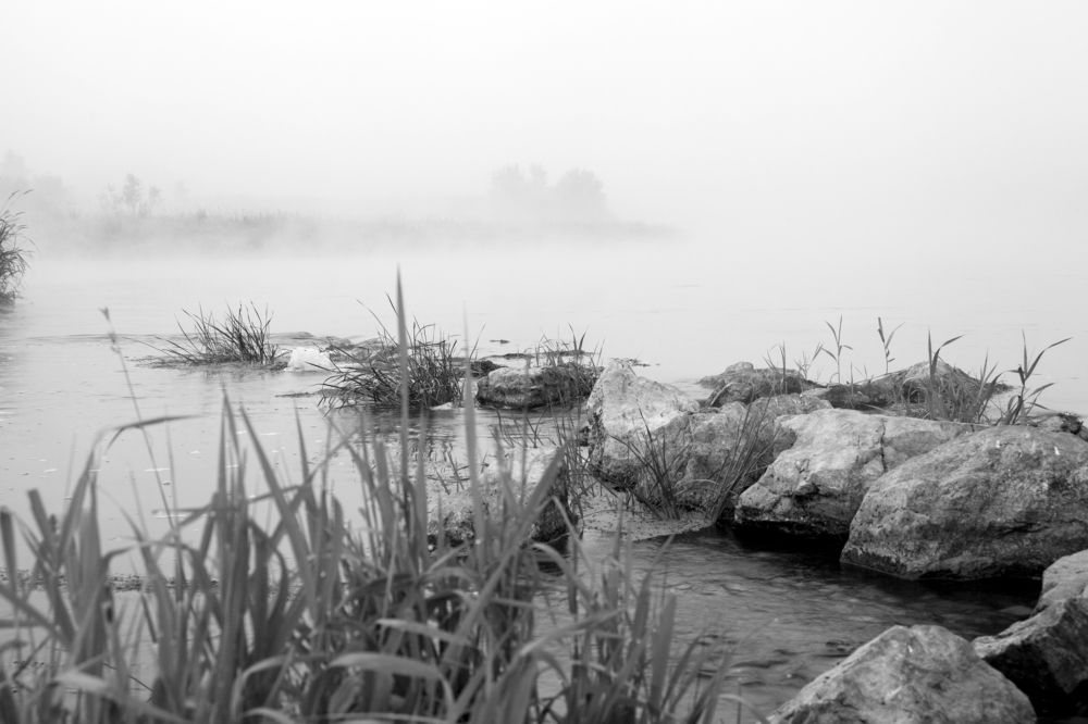 Photograph by Александр Ермаков