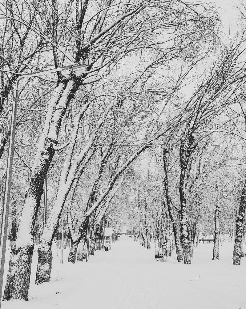 Photograph by Ирина Строкова