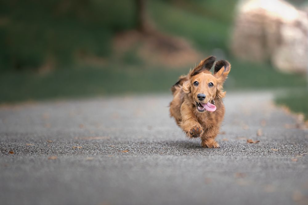 Photograph by Bernard Sim